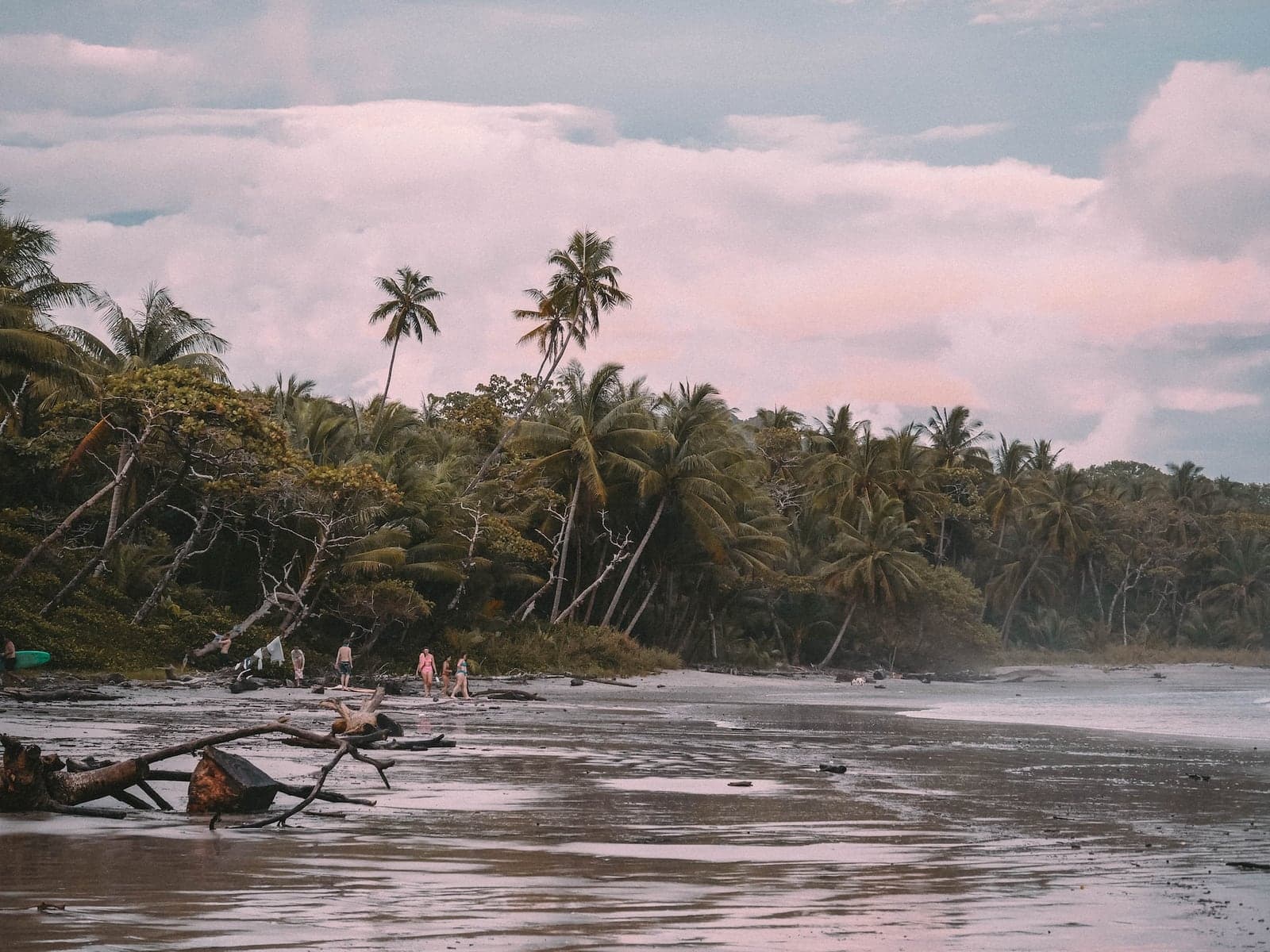 Driftwood and palms on a quieter stretch of Playa Santa Teresa