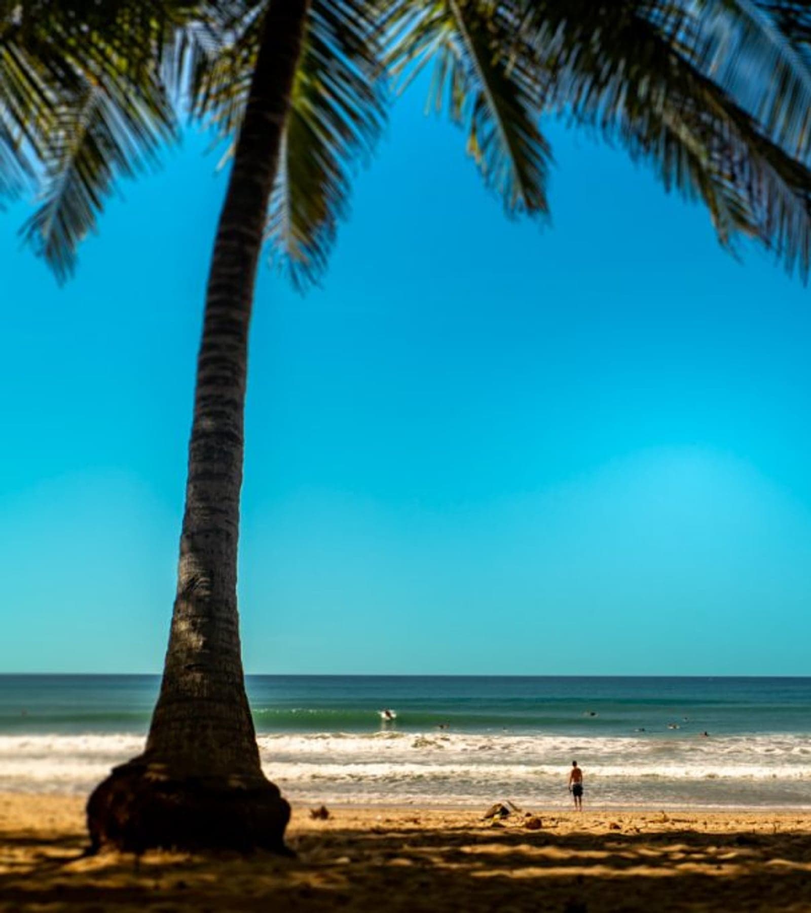 Dry season at Playa Santa Teresa — palm tree silhouette, bright blue sky, deserted beach