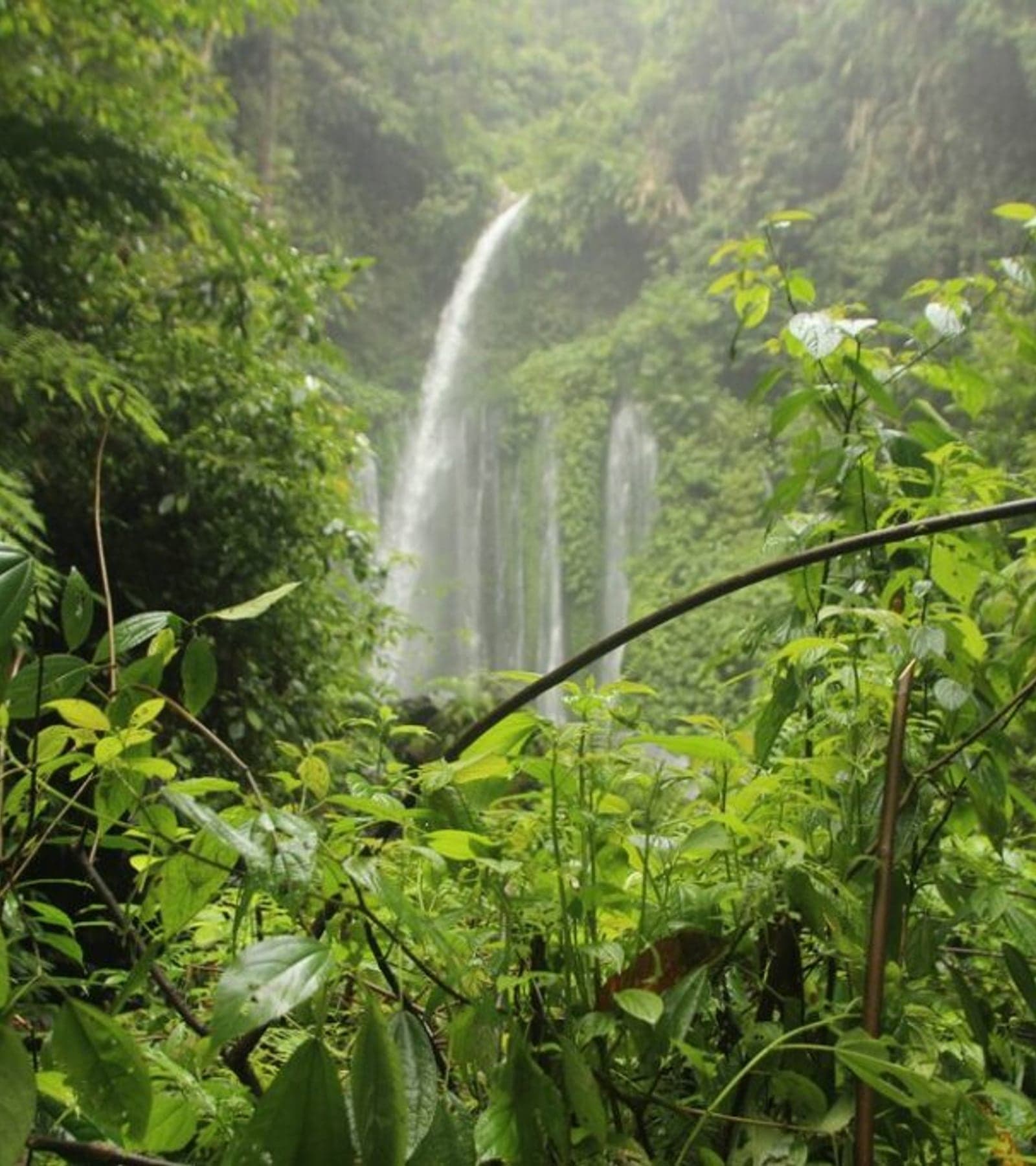 Green season in Costa Rica — lush jungle waterfall, electric-green canopy