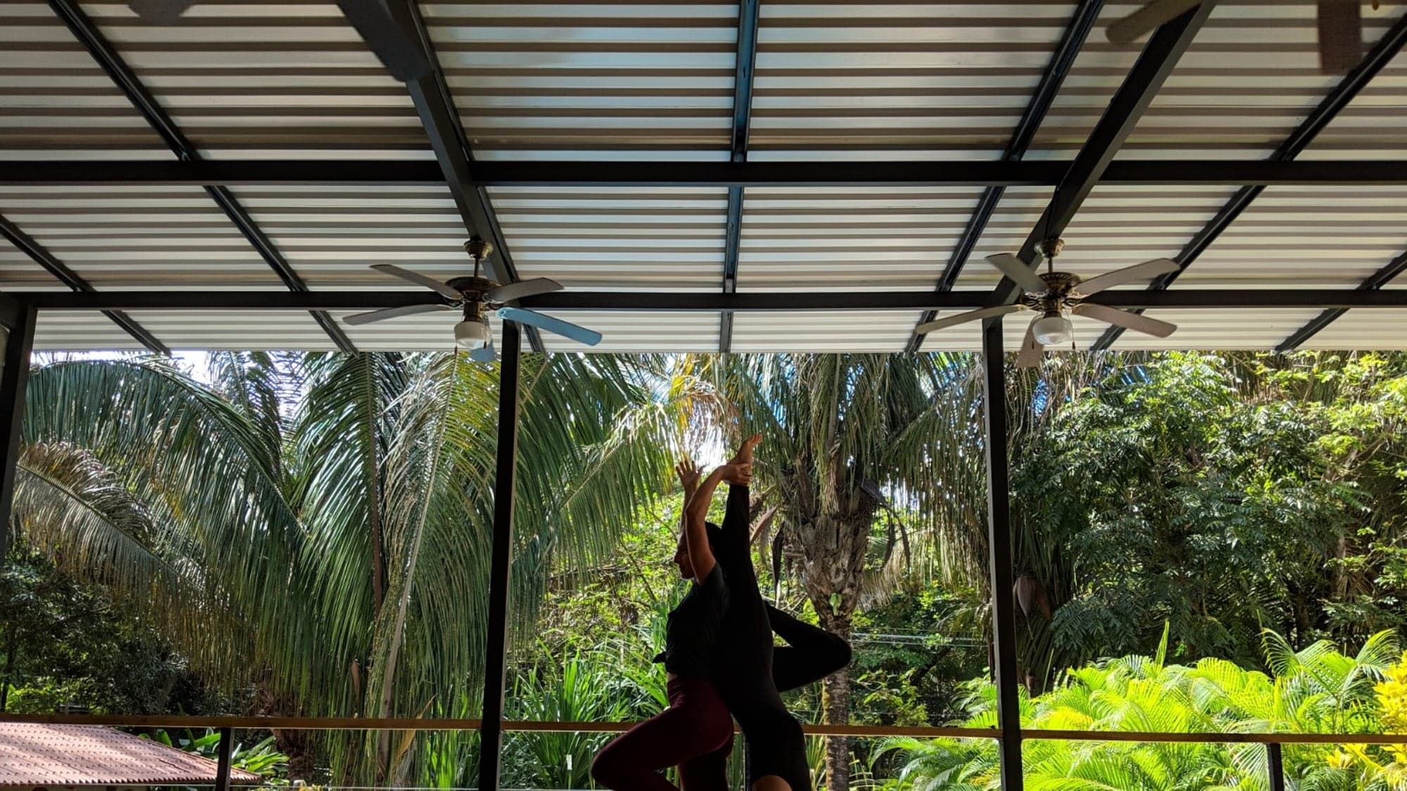 Silhouette in warrior pose on a deck framed by palms